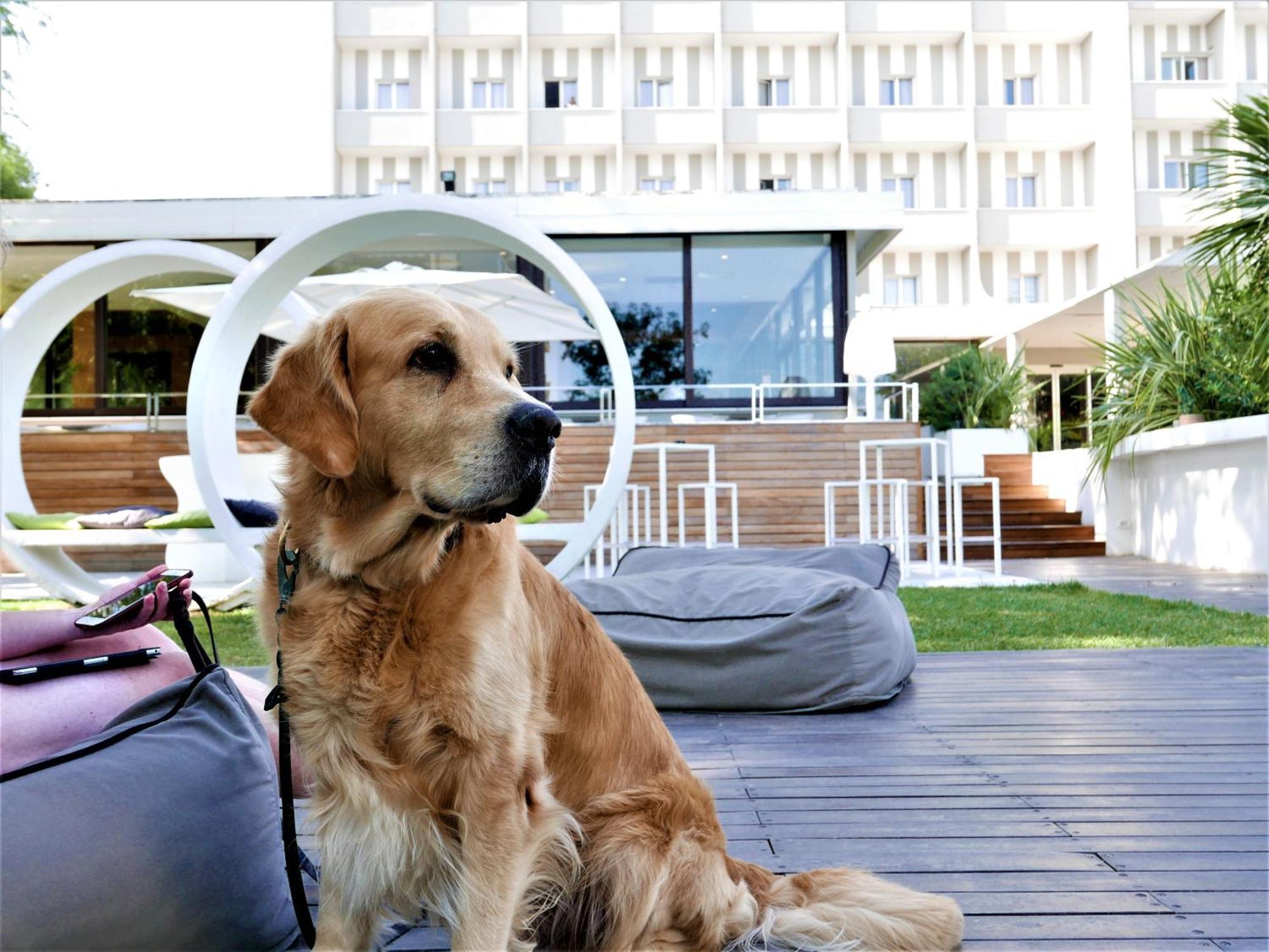 Oxygen Lifestyle Hotel Viserbella di Rimini Esterno foto